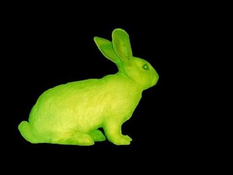 Eduardo Kac: Transgenic Artist