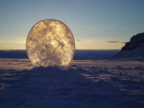 What are the Environmental Humanities? Q+A with Stephanie LeMenager