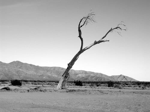 Inside BELIEF | Utopias and Dystopias