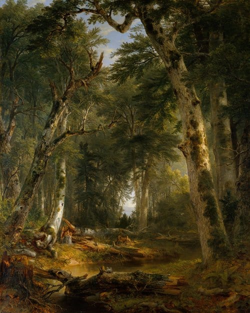 Angela Miller: American Landscape Art and Environmental Thinking
