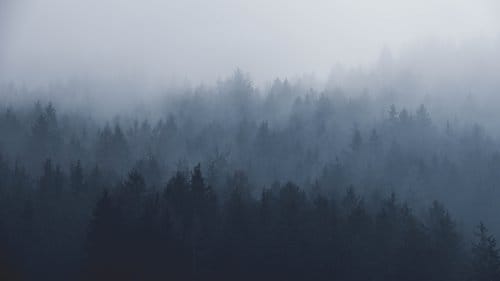Start Here: The Unseen