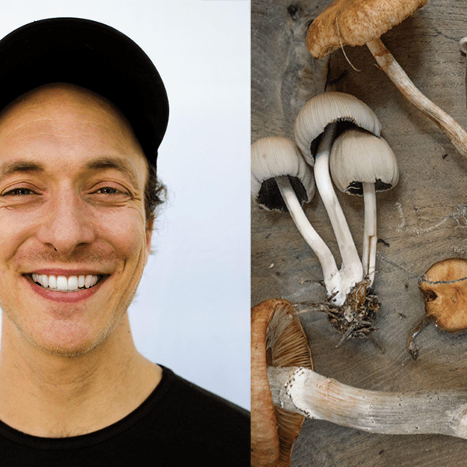 Mushroom Power
