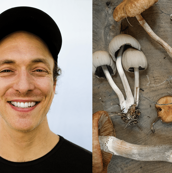 Mushroom Power