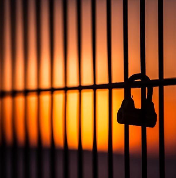 Innocent & Behind Bars with Daniel S. Medwed