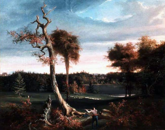 the-woodchopper-lake-featherstonhaugh-cole.jpg